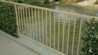 LeafScape™ | Uitrekbaar Tot 2 Meter!